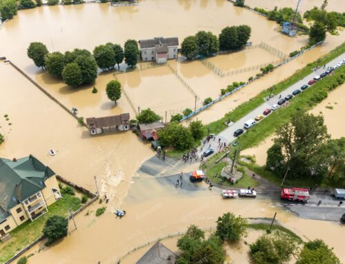 Comment se prévenir d’une crise climatique : Guide débutant pour les particuliers