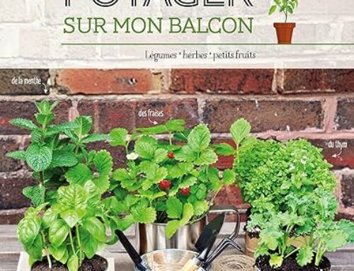 Un potager sur mon balcon