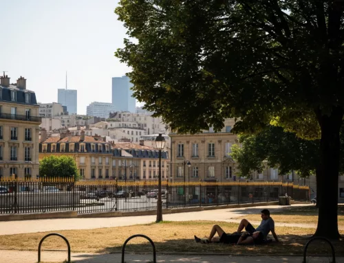 Avertissement de canicule : votre guide complet pour affronter les fortes chaleurs